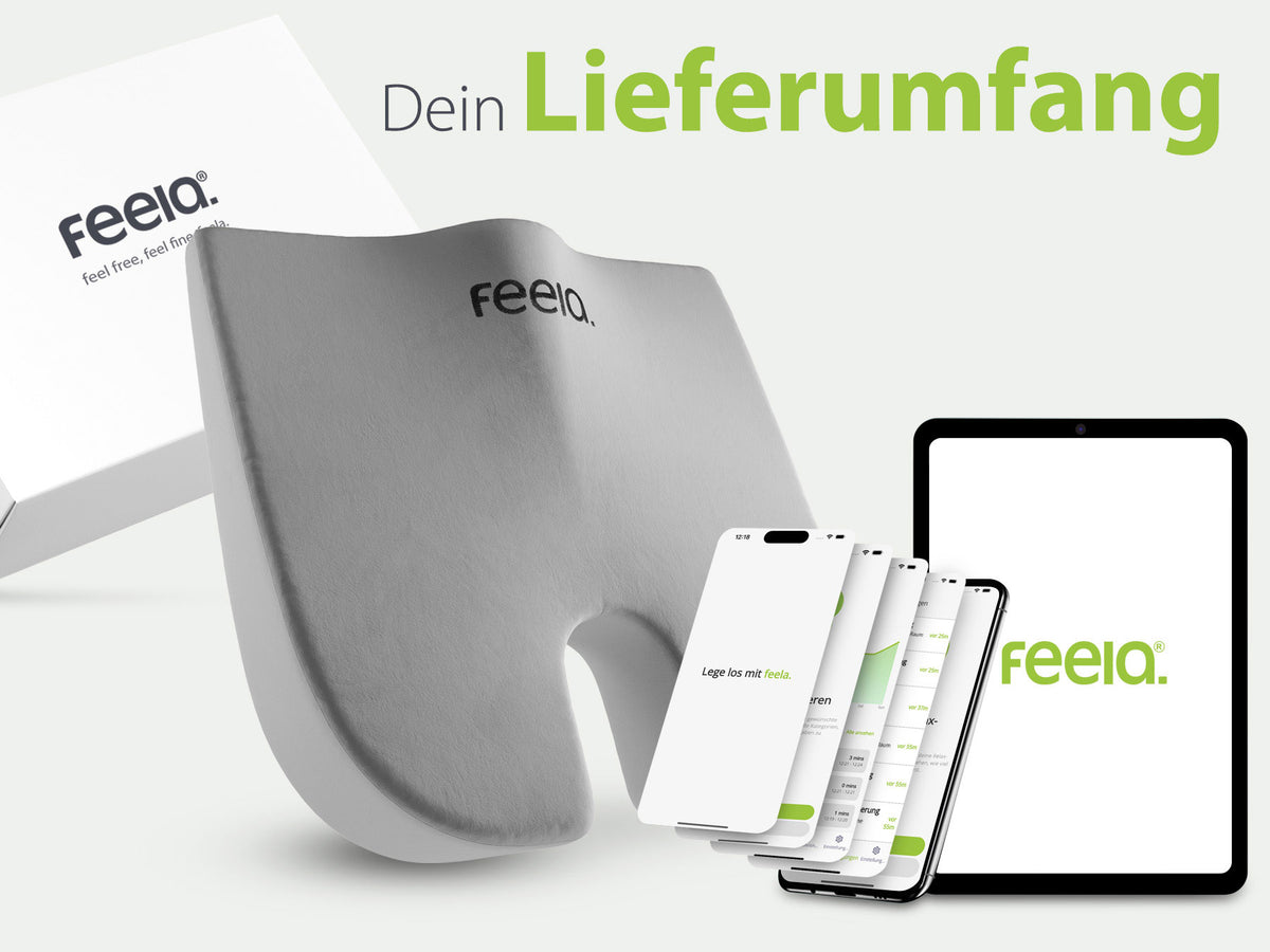 Silbernes orthopädisches Keilkissen von feela®, komplett mit Verpackung und Zugriff auf die feela App für optimierte Nutzung.