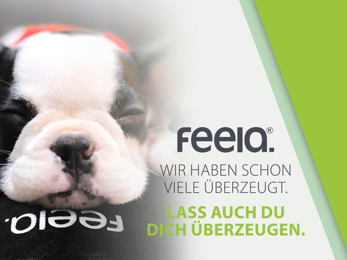 Nahaufnahme eines schlafenden Bulldoggen-Welpen auf einer Feelia-Schultertasche, neben der Botschaft: 'Wir haben schon viele überzeugt. Lass auch du dich überzeugen.' Ideal für emotionale Marketingstrategien.