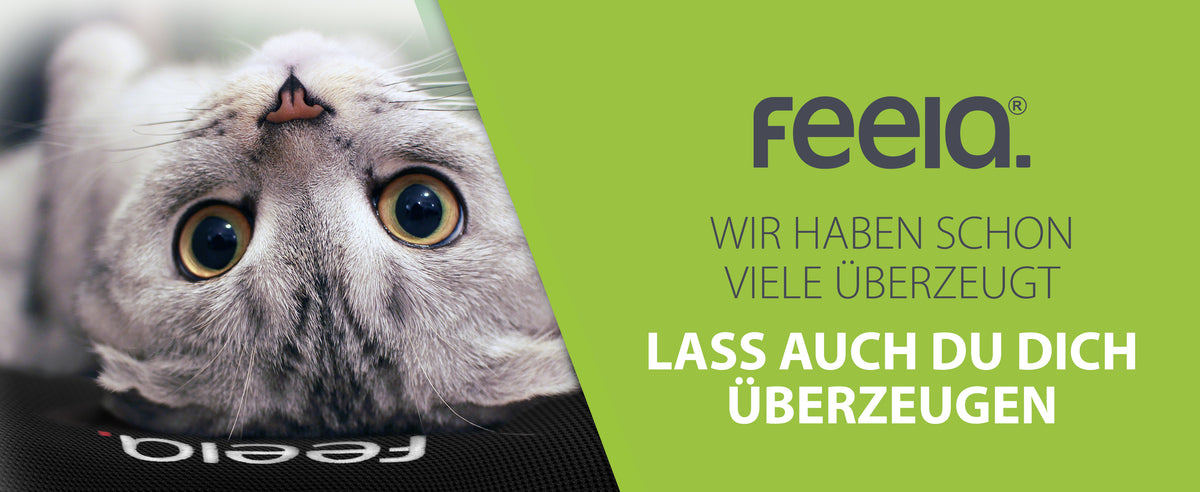 Eine graue Katze liegt auf einem feela Rückenkissen und blickt mit großen Augen in die Kamera, begleitet von den Worten 'Wir haben schon viele überzeugt' und 'Lass auch du dich überzeugen', was für die Vielseitigkeit und Anziehungskraft des Produkts spricht.