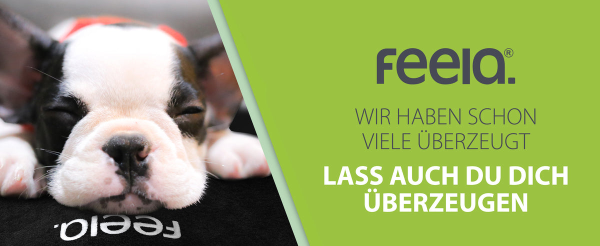 Ein entspannt schlafender Welpe auf einem feela Auto-Sitzkissen mit dem Slogan 'Wir haben schon viele überzeugt - Lass auch du dich überzeugen', was auf die hohe Kundenzufriedenheit mit dem Produkt hinweist.