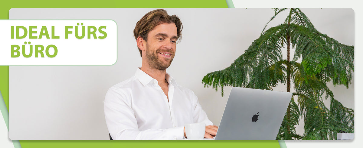 Werbebild einer ergonomischen Fußstütze "feela" im Büro. Eine Person in Business-Kleidung sitzt an einem Schreibtisch und benutzt die Fußstütze. Der Hintergrund zeigt eine moderne Büroumgebung. Ein Text auf dem Bild erklärt, dass die Fußstütze ideal für Büroarbeiten ist und zur Verbesserung der Sitzhaltung beiträgt.