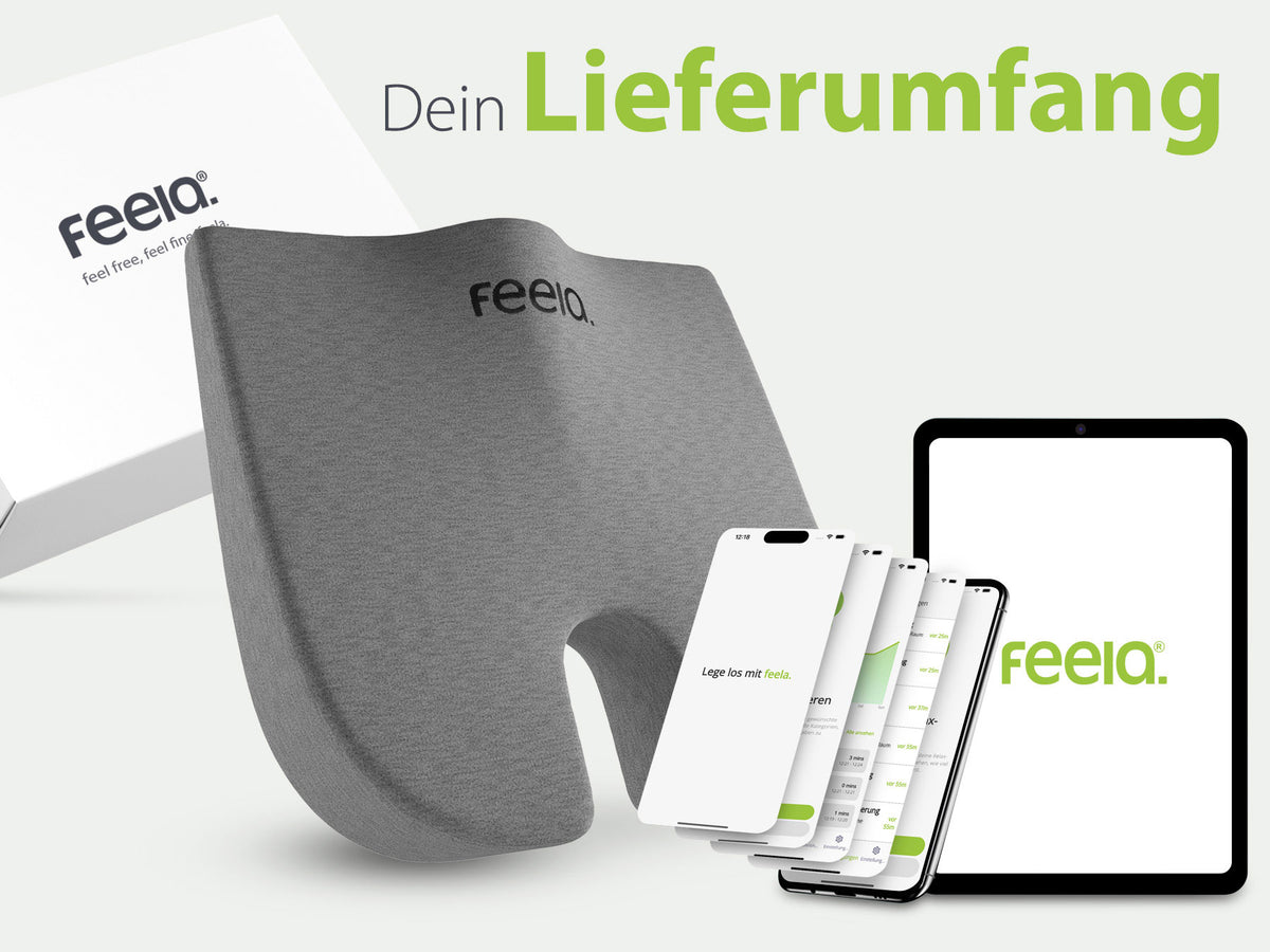 Lieferumfang des dunkelgrauen orthopädischen Keilkissens von feela®, inklusive Verpackung und Zugang zur exklusiven feela App.