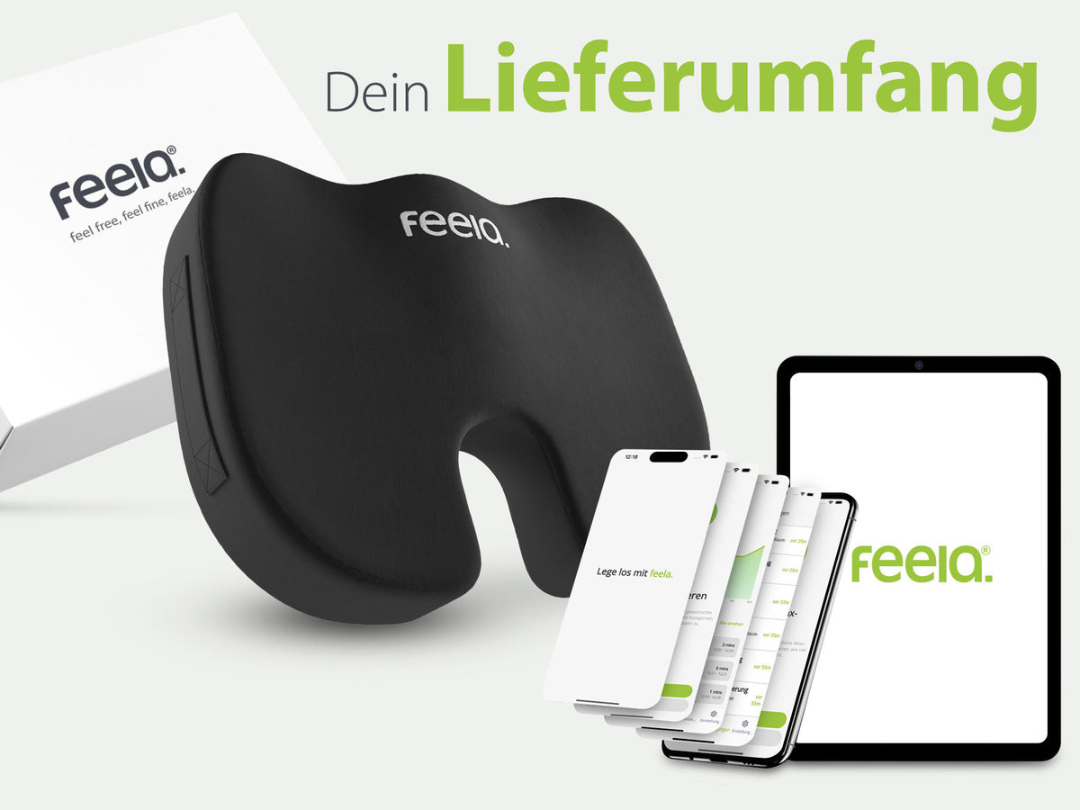 Lieferumfang des feela® orthopädischen Auto-Sitzkissens, bestehend aus einem schwarzen Sitzkissen, einer weißen Produktverpackung und einer digitalen Anwendung auf einem Smartphone und Tablet, alles angeordnet auf einem weißen Hintergrund mit dem Text 'Dein Lieferumfang'.