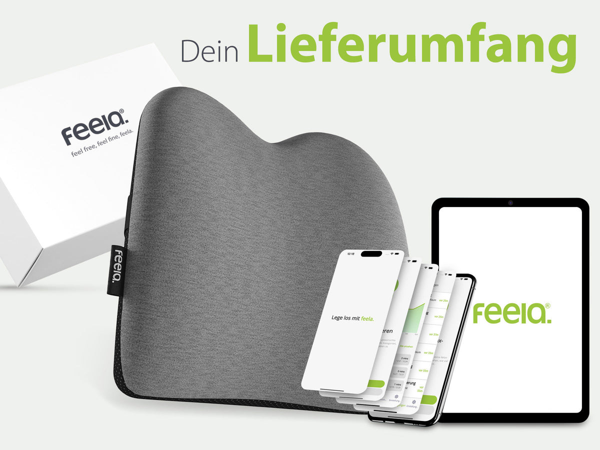 Grafik, die den Lieferumfang des ergonomischen Auto-Rückenkissens von Feelia zeigt, inklusive der Kissen in Grau sowie der dazugehörigen App auf verschiedenen Mobilgeräten.
