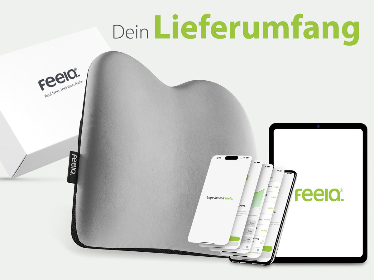Grafik, die den Lieferumfang des ergonomischen Auto-Rückenkissens von Feelia zeigt, inklusive der Kissen in Silber sowie der dazugehörigen App auf verschiedenen Mobilgeräten.