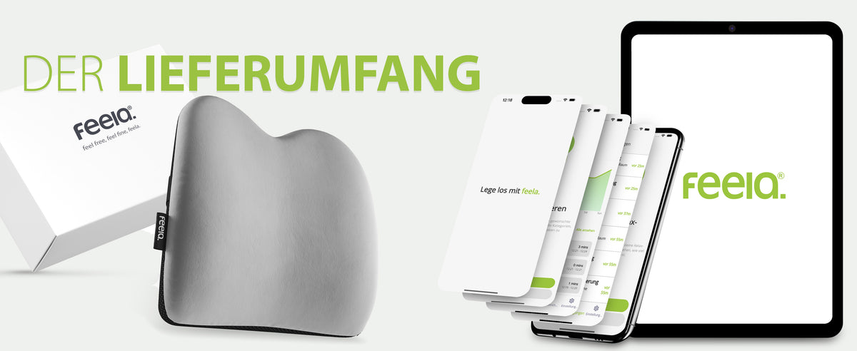 Auto-Rückenkissen von feela, das ergonomisches Design für Komfort während der Fahrt bietet, abgebildet neben der Produktverpackung und der Smartphone-App auf mehreren Geräten.