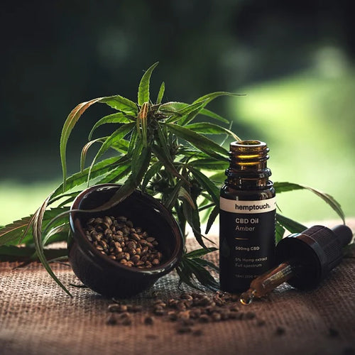 Fläschchen CBD-Öl neben einer Hanfpflanze