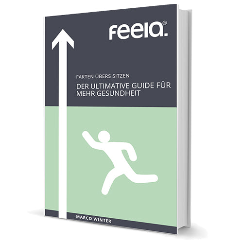 E-Book „Fakten übers Sitzen – Der ultimative Guide für mehr Gesundheit“ von feela.